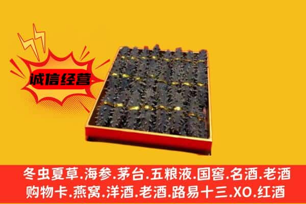 彝良县回收海参